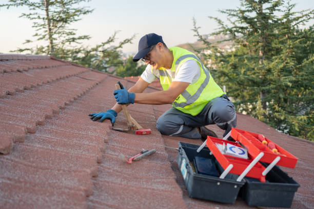 Best Roof Ventilation Installation  in Cascade Locks, OR